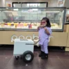 Baby Size Classic Popsicle Cart
