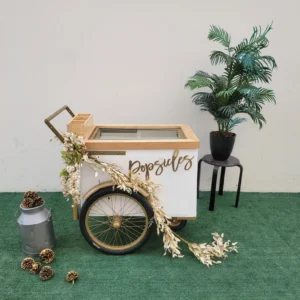 Standard Size Popsicle Cart with Sliding Glass Doors and Bicycle Tires