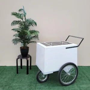 Tall Standard Popsicle Cart with Bicycle Tires and Chrome Trim